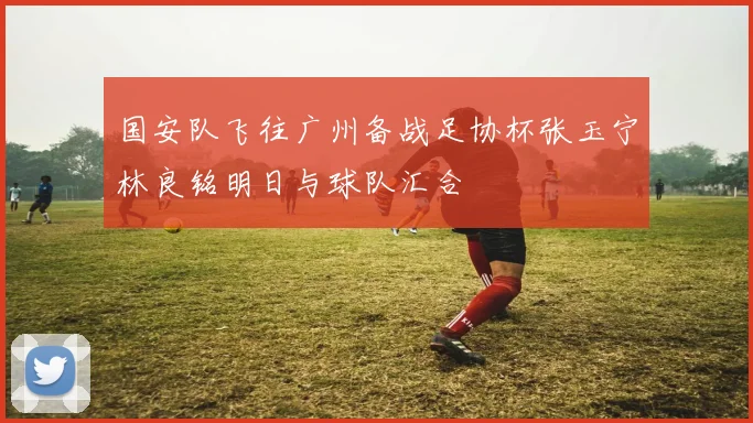 国安队飞往广州备战足协杯张玉宁林良铭明日与球队汇合
