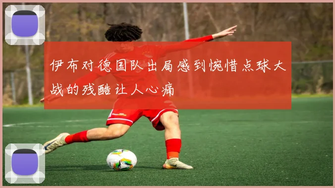 伊布对德国队出局感到惋惜点球大战的残酷让人心痛